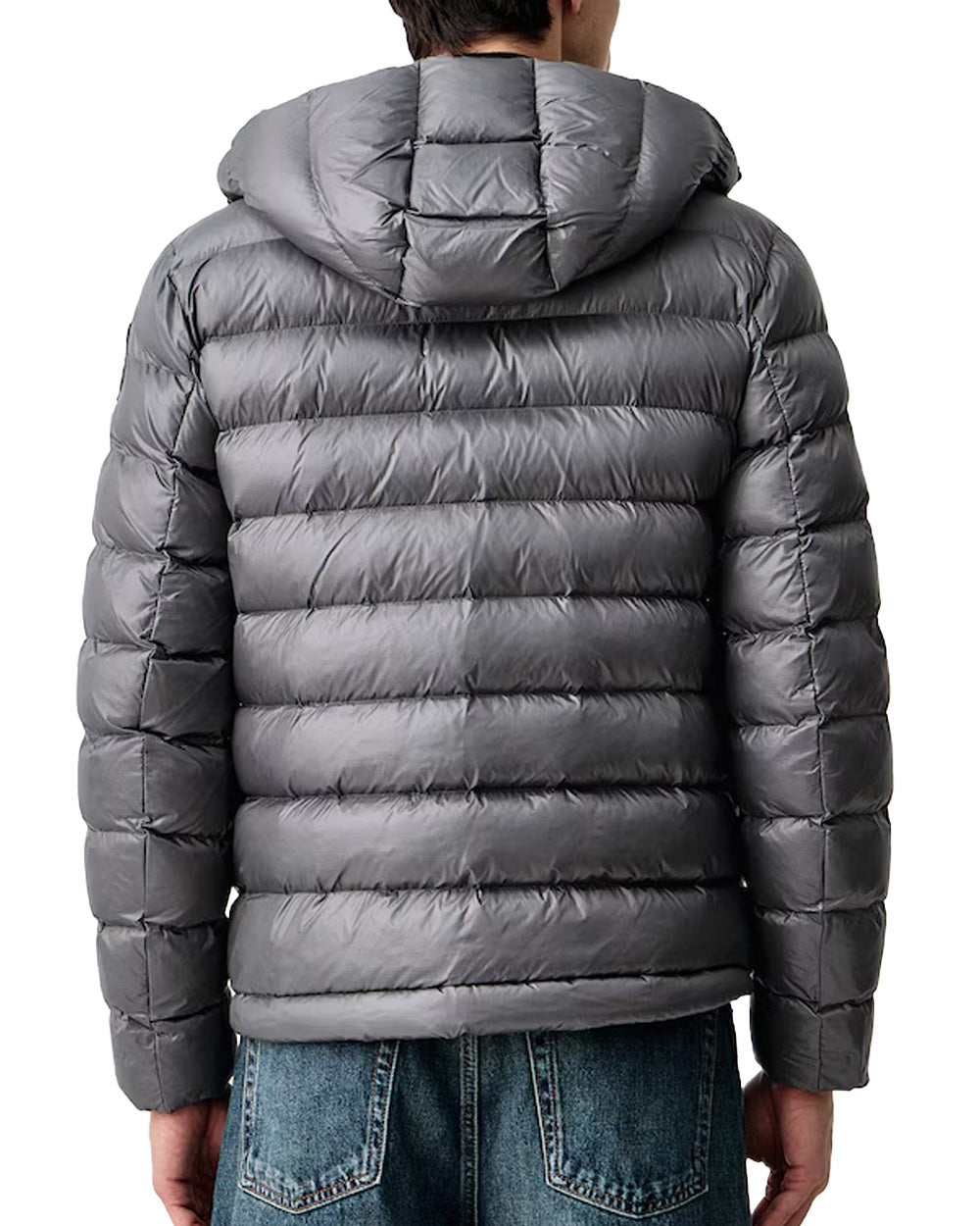 Giubbino BLAUER uomo ADAMS BLUC02054005958 Grigio