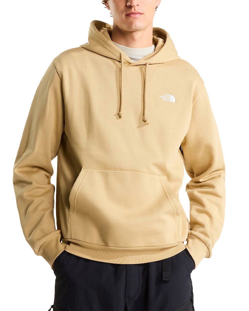 Felpa THE NORTH FACE uomo Evolution Simple Dome Regular 8CWM Stone
