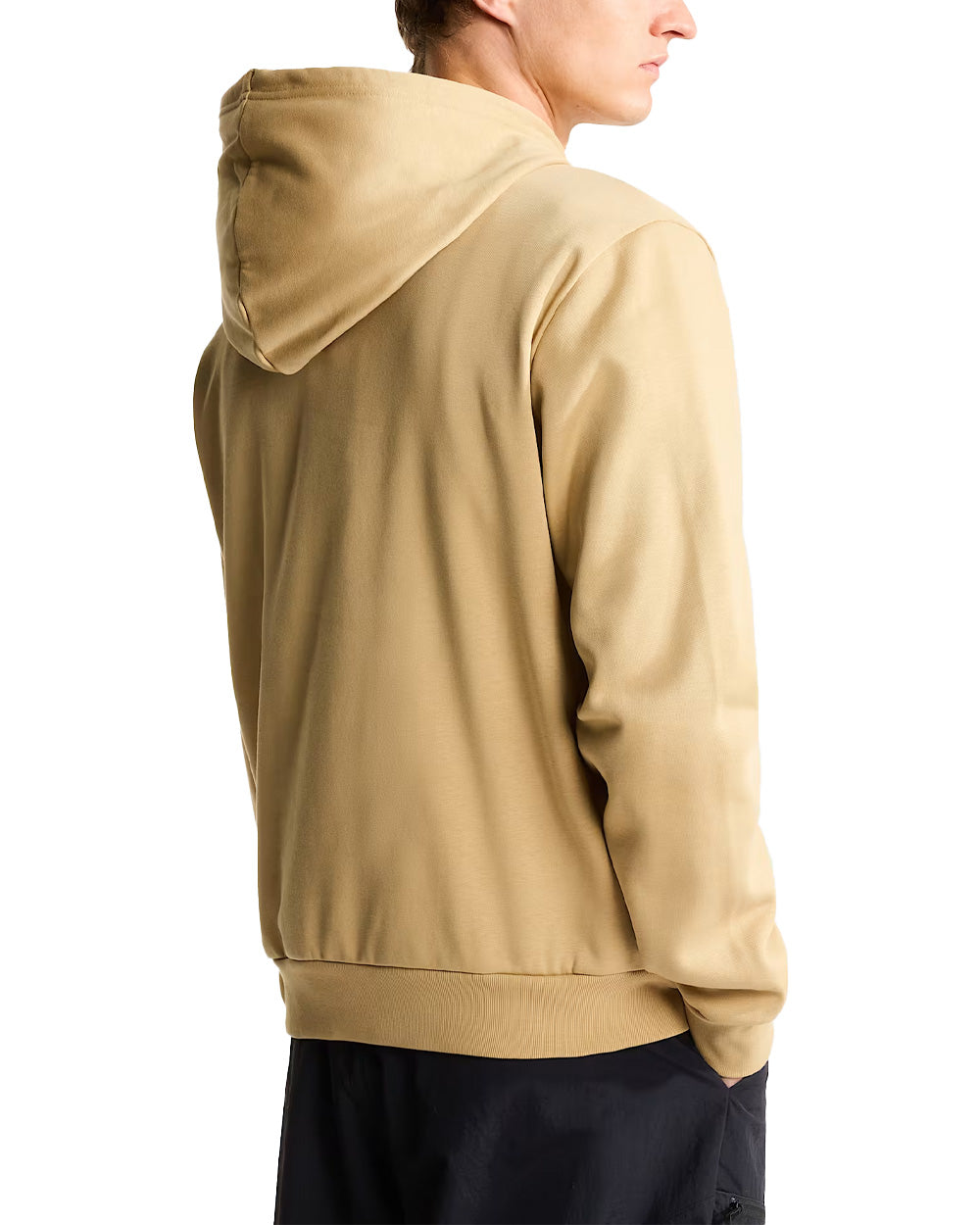 Felpa THE NORTH FACE uomo Evolution Simple Dome Regular 8CWM Stone