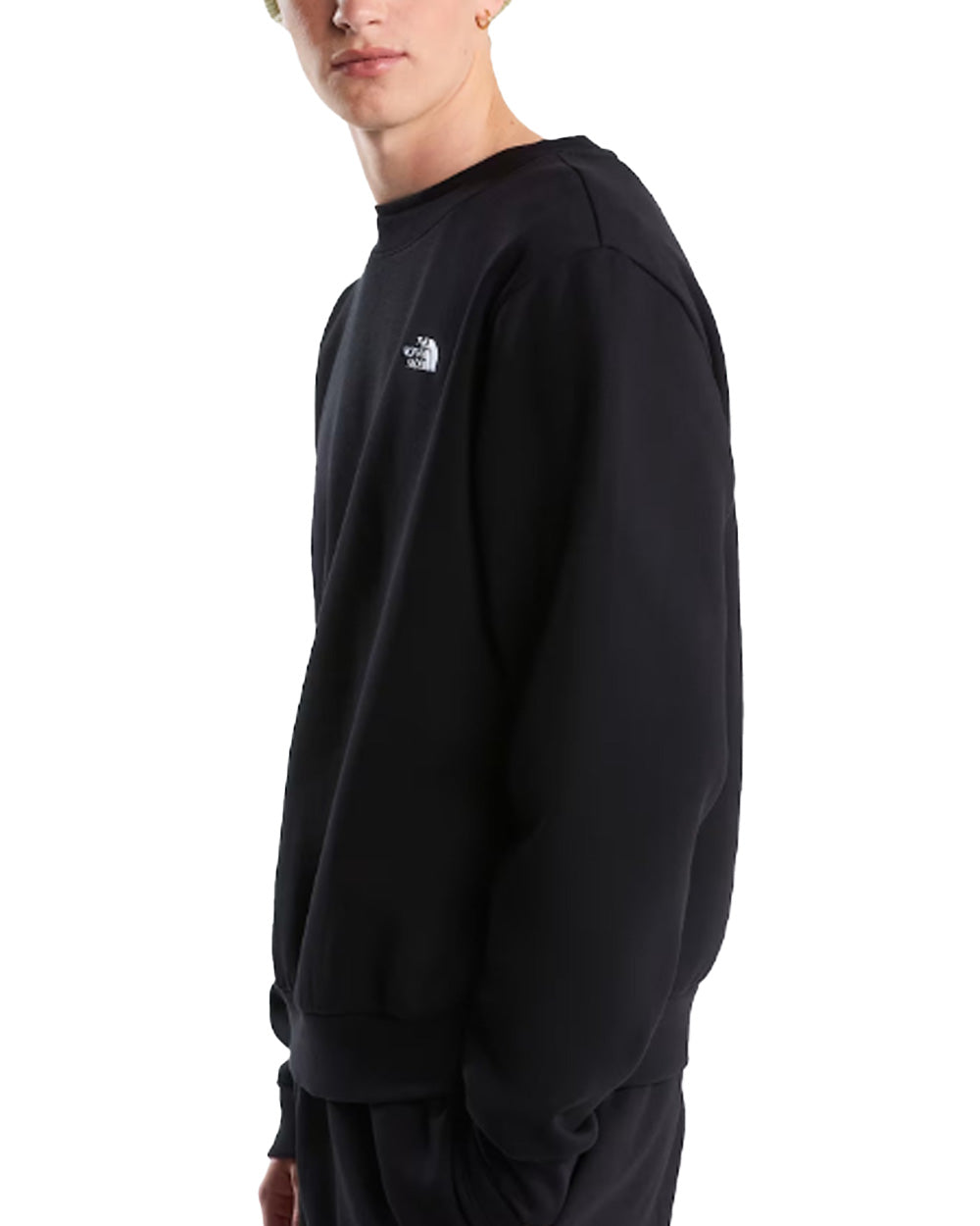 Felpa THE NORTH FACE uomo Evolution Simple Dome Regular Crew 8D60 Nera