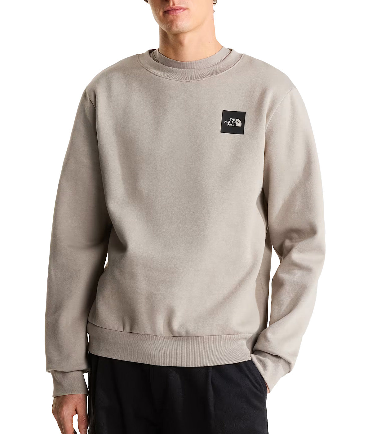 Felpa THE NORTH FACE uomo Box Half Dome Regular 8JAY Stone
