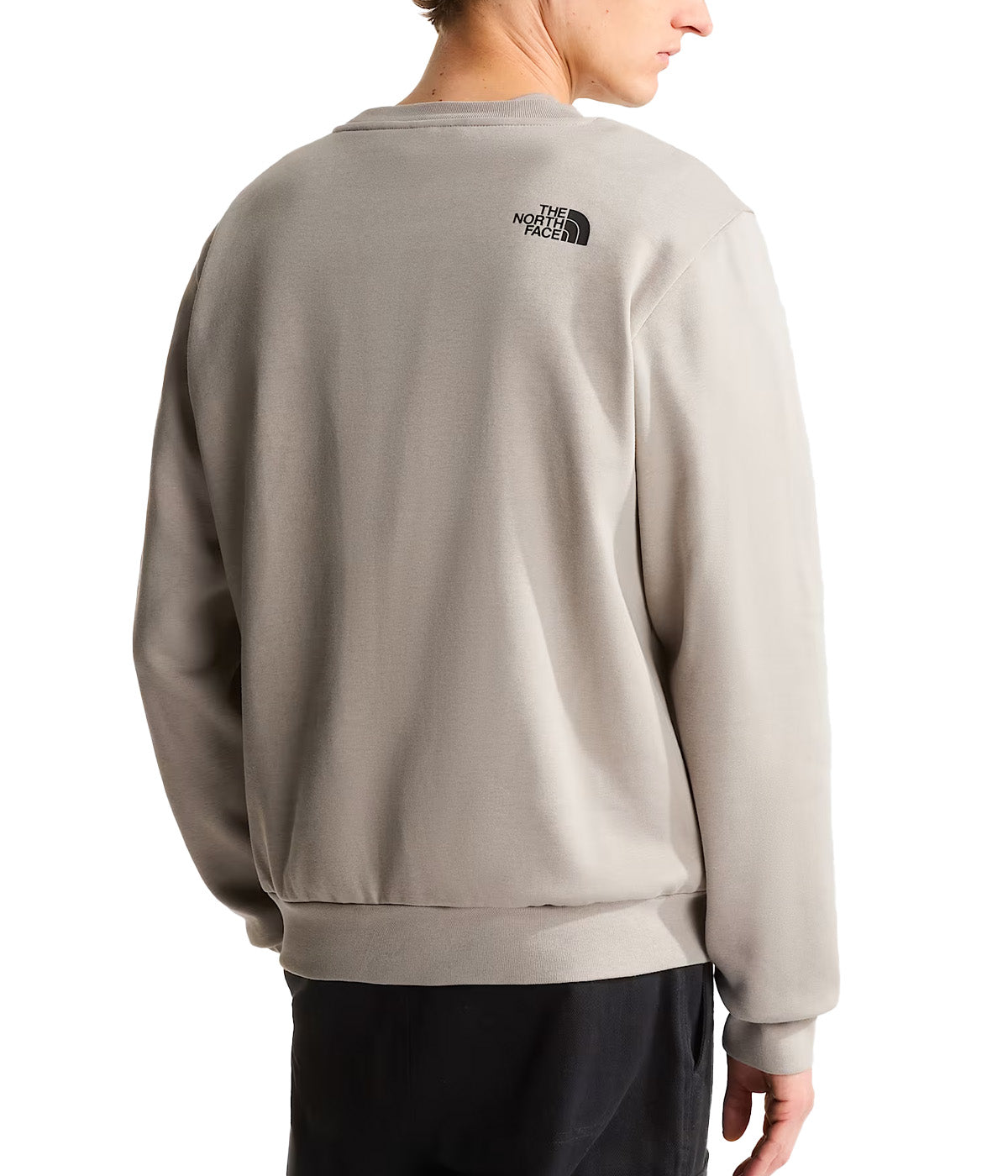 Felpa THE NORTH FACE uomo Box Half Dome Regular 8JAY Stone