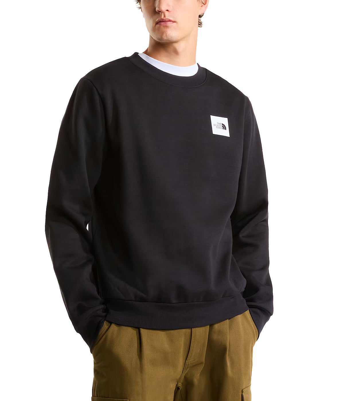 Felpa THE NORTH FACE uomo Box Half Dome Regular 8JAY Nero