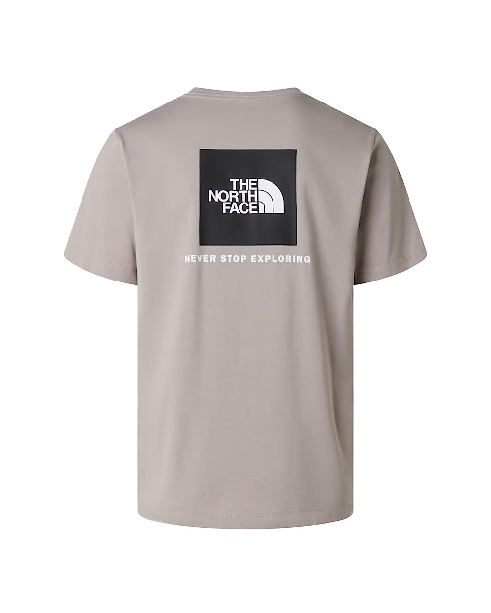 T-shirt THE NORTH FACE uomo Evolution NSE Box Regular 8B6K Stone