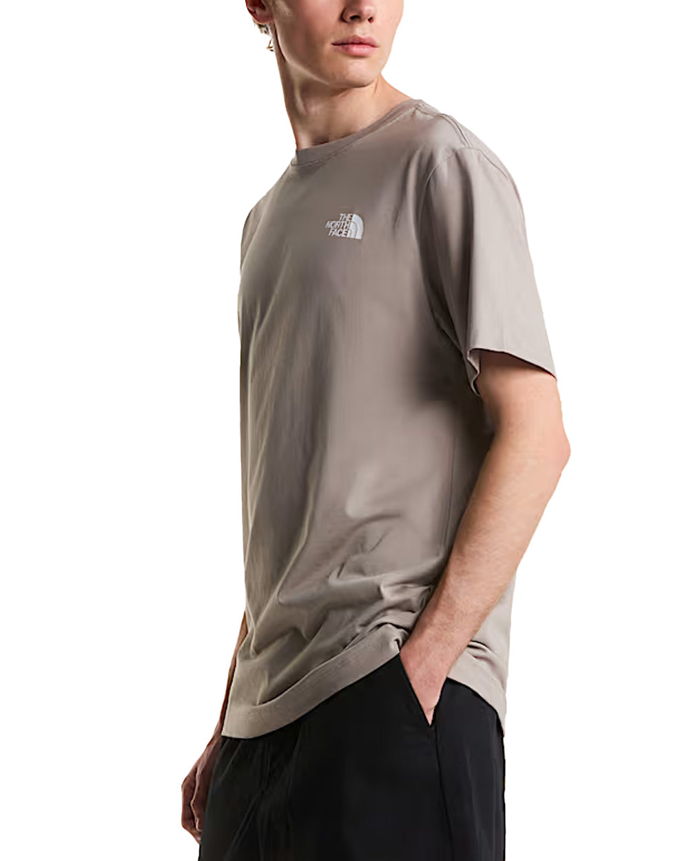 T-shirt THE NORTH FACE uomo Evolution NSE Box Regular 8B6K Stone