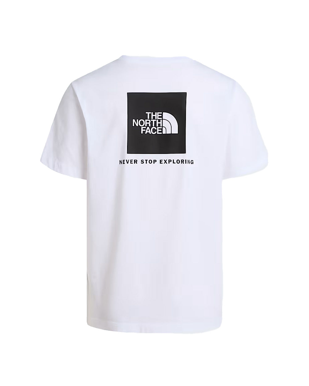 T-shirt THE NORTH FACE uomo Evolution NSE Box Regular 8B6K Bianca