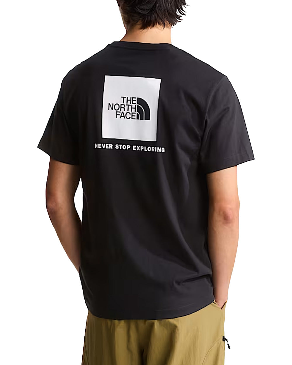 T-shirt THE NORTH FACE uomo Evolution NSE Box Regular 8B6K Nera
