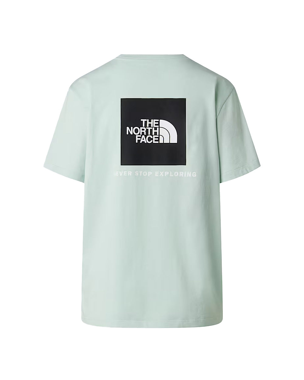 T-shirt THE NORTH FACE donna Evolution NSE Box Relaxed 8B6W Verde