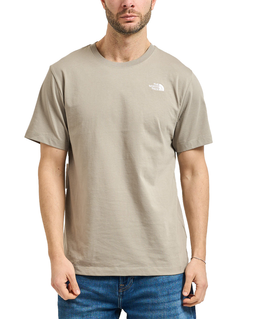 T-shirt THE NORTH FACE uomo Evolution Simple Dome Regular 8CZ2 Stone