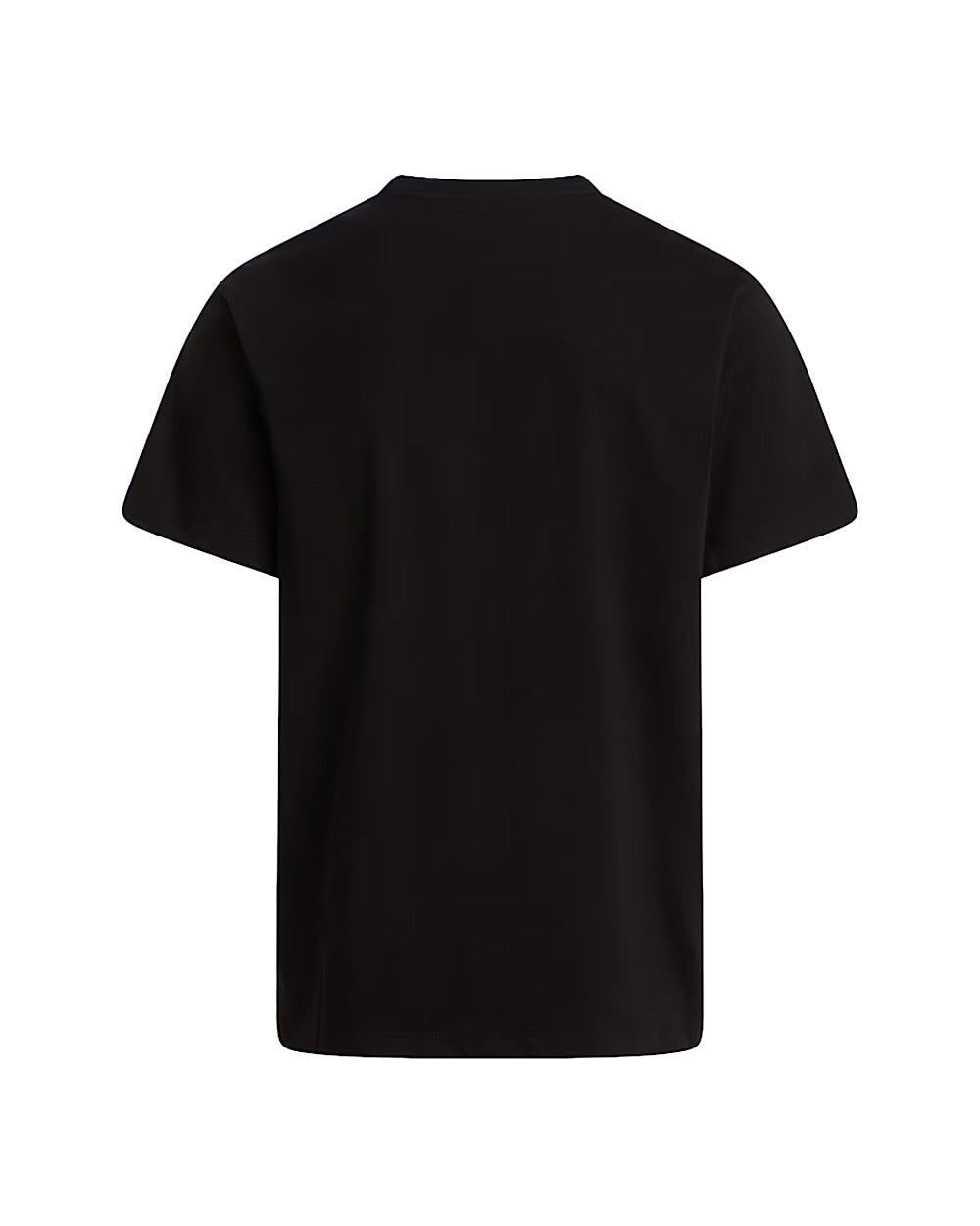 T-shirt THE NORTH FACE uomo Evolution Simple Dome Regular 8CZ2 Nera