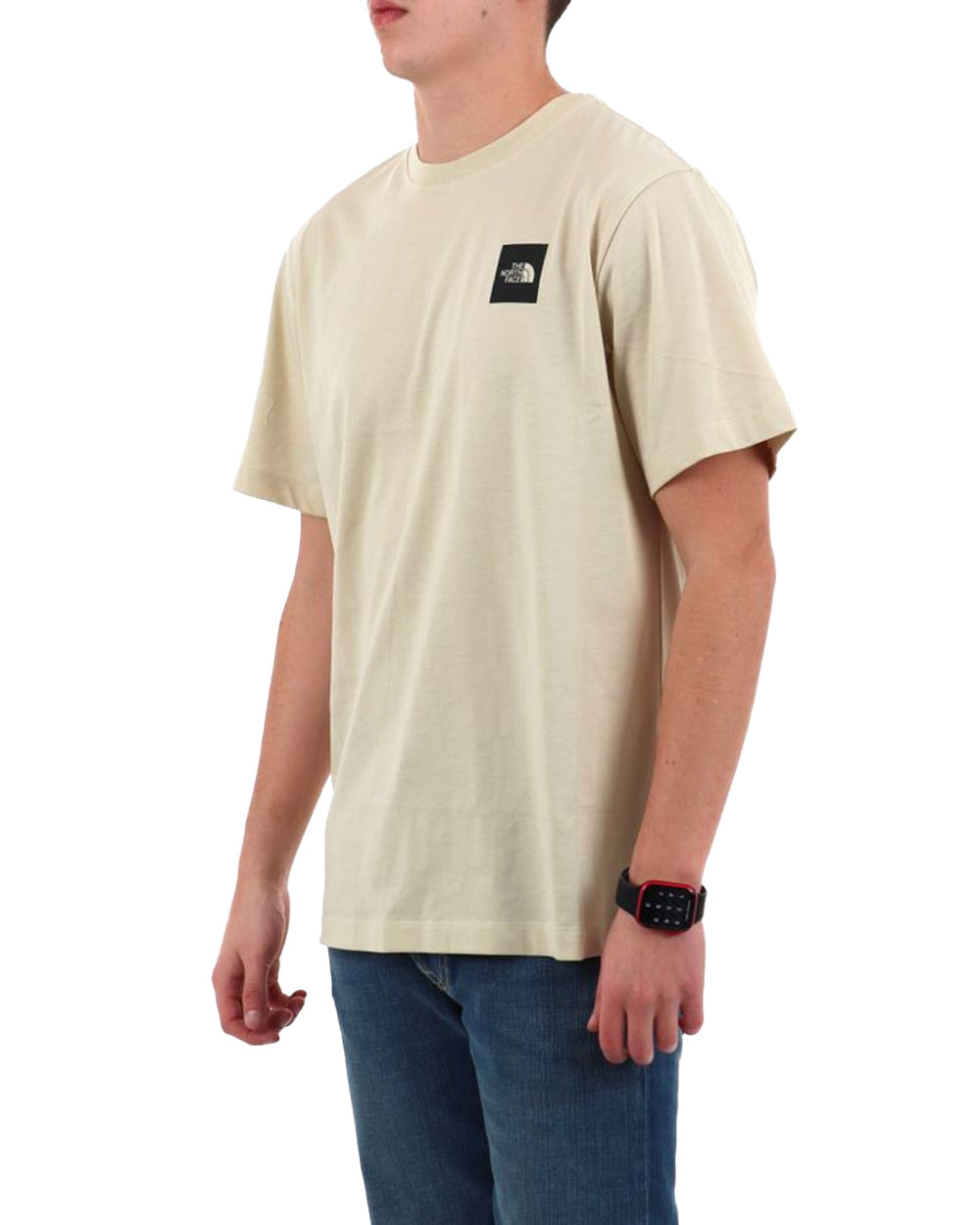 T-shirt THE NORTH FACE uomo Evolution Box Half Dome Regular 8G9C Stone