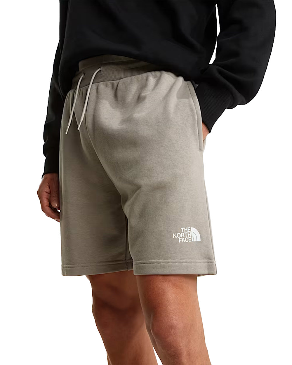 Bermuda THE NORTH FACE uomo Simple Dome Light Regular 8GQB Stone<BR/>