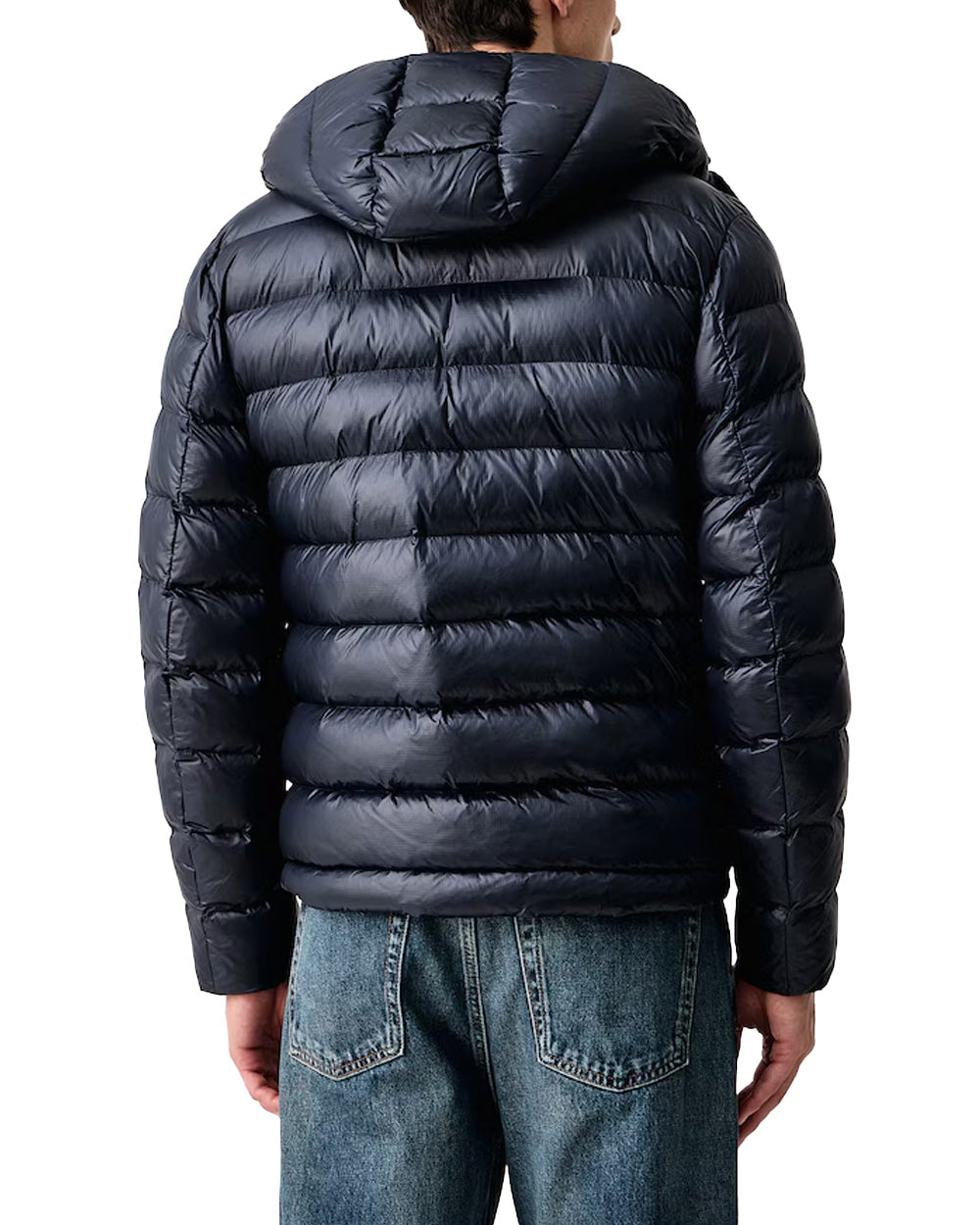 Giubbino BLAUER uomo ADAMS BLUC02054005958 Blu 