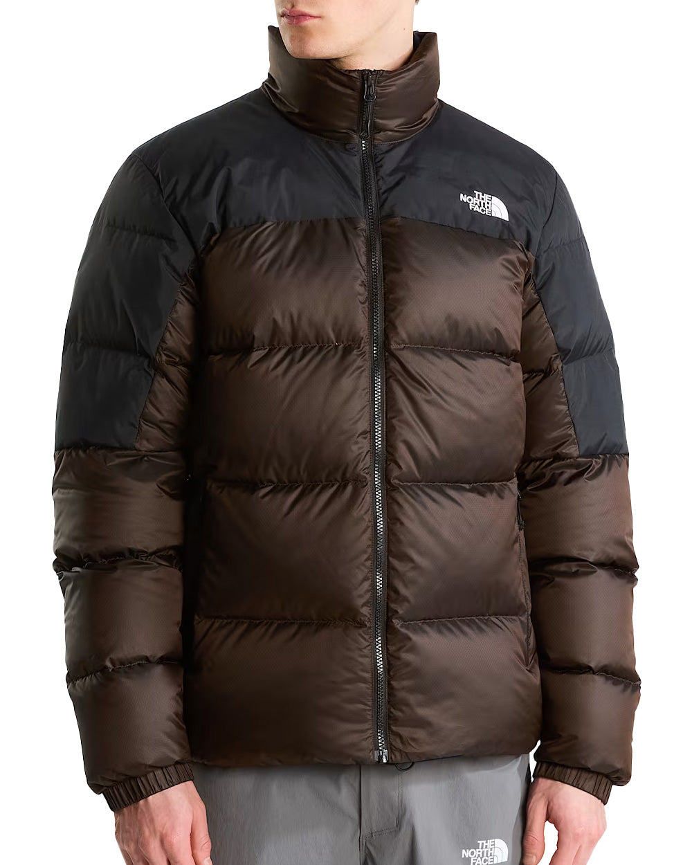 Giubbino THE NORTH FACE uomo Diablo 2.0 8993 Moro 