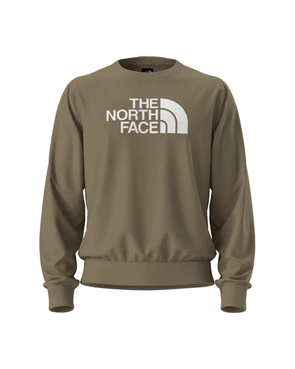 Felpa THE NORTH FACE uomo LOGOWEAR TOPS 8FD9 Tortora 