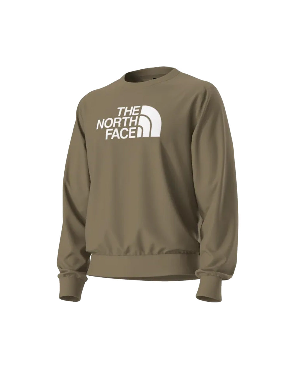 Felpa THE NORTH FACE uomo LOGOWEAR TOPS 8FD9 Tortora 