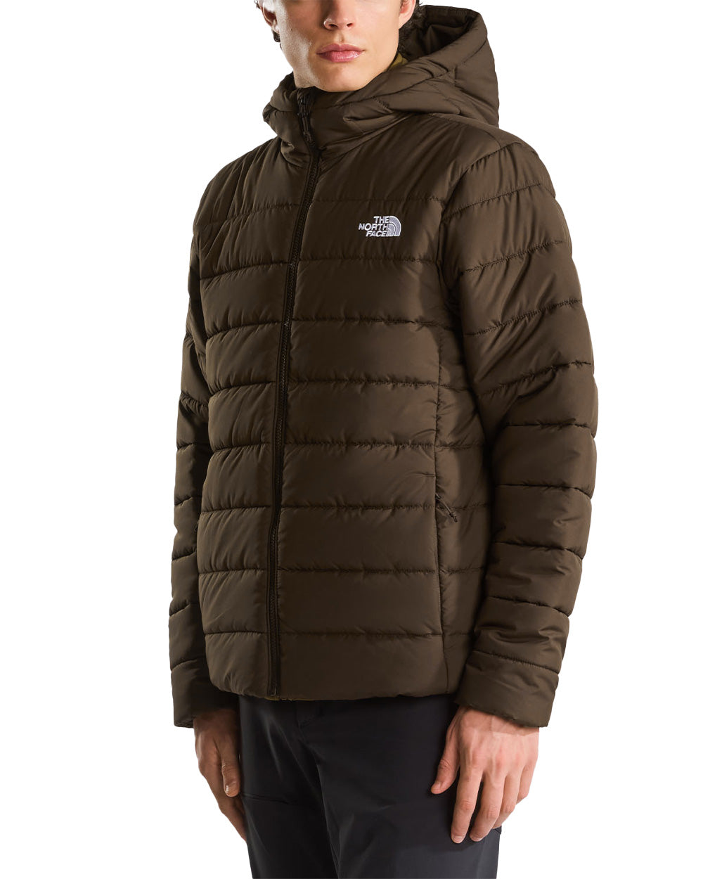 Giubbino THE NORTH FACE uomo Aconcagua 8H0K Moro 