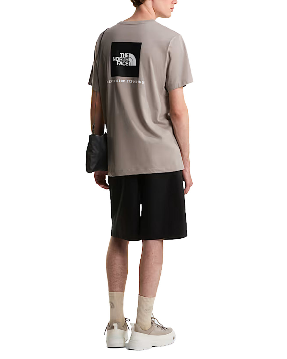 T-shirt THE NORTH FACE uomo Evolution NSE Box Regular 8B6K Stone 