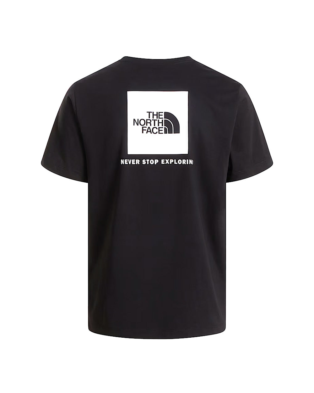 T-shirt THE NORTH FACE uomo Evolution NSE Box Regular 8B6K Nera 