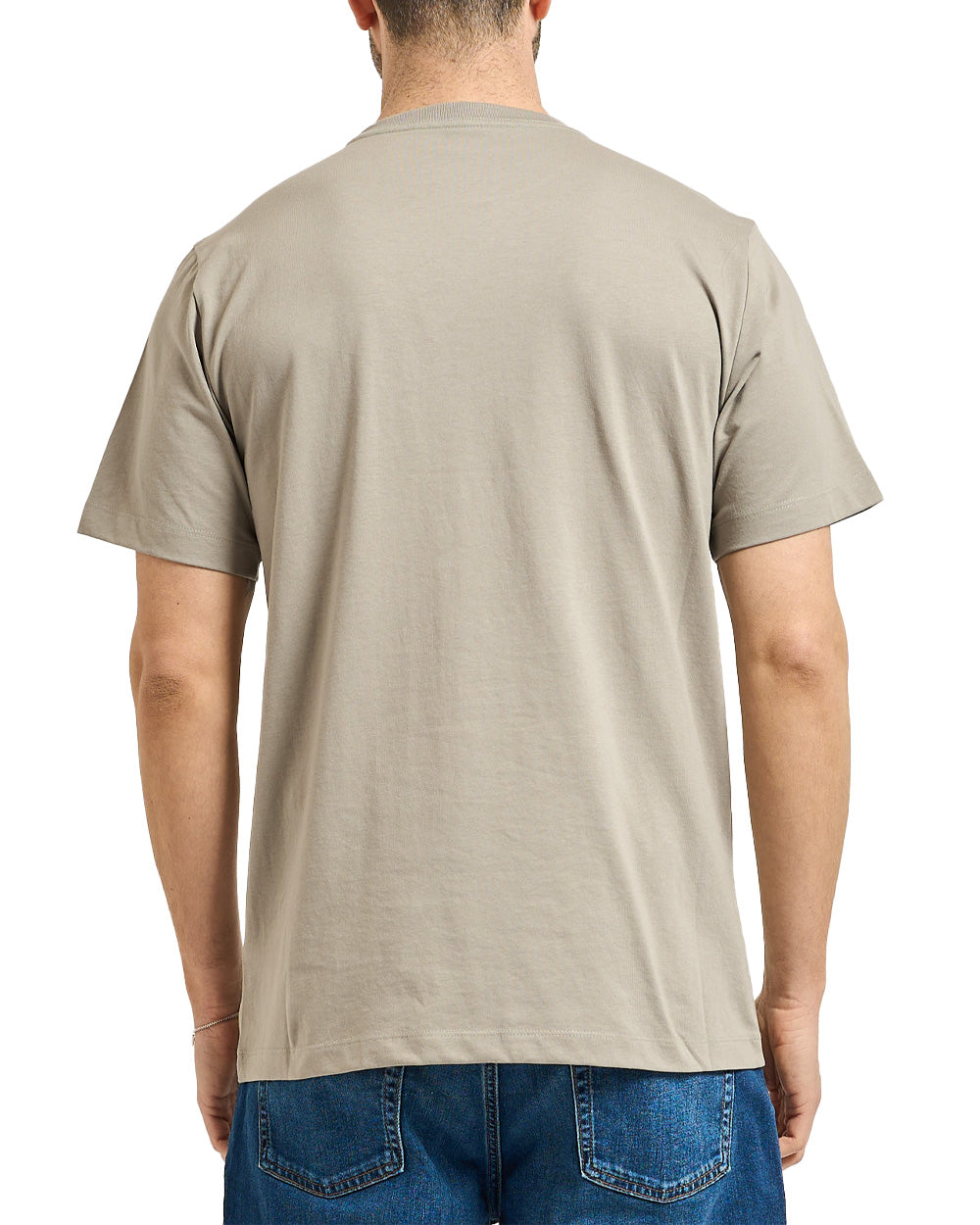 T-shirt THE NORTH FACE uomo Evolution Simple Dome Regular 8CZ2 Stone 