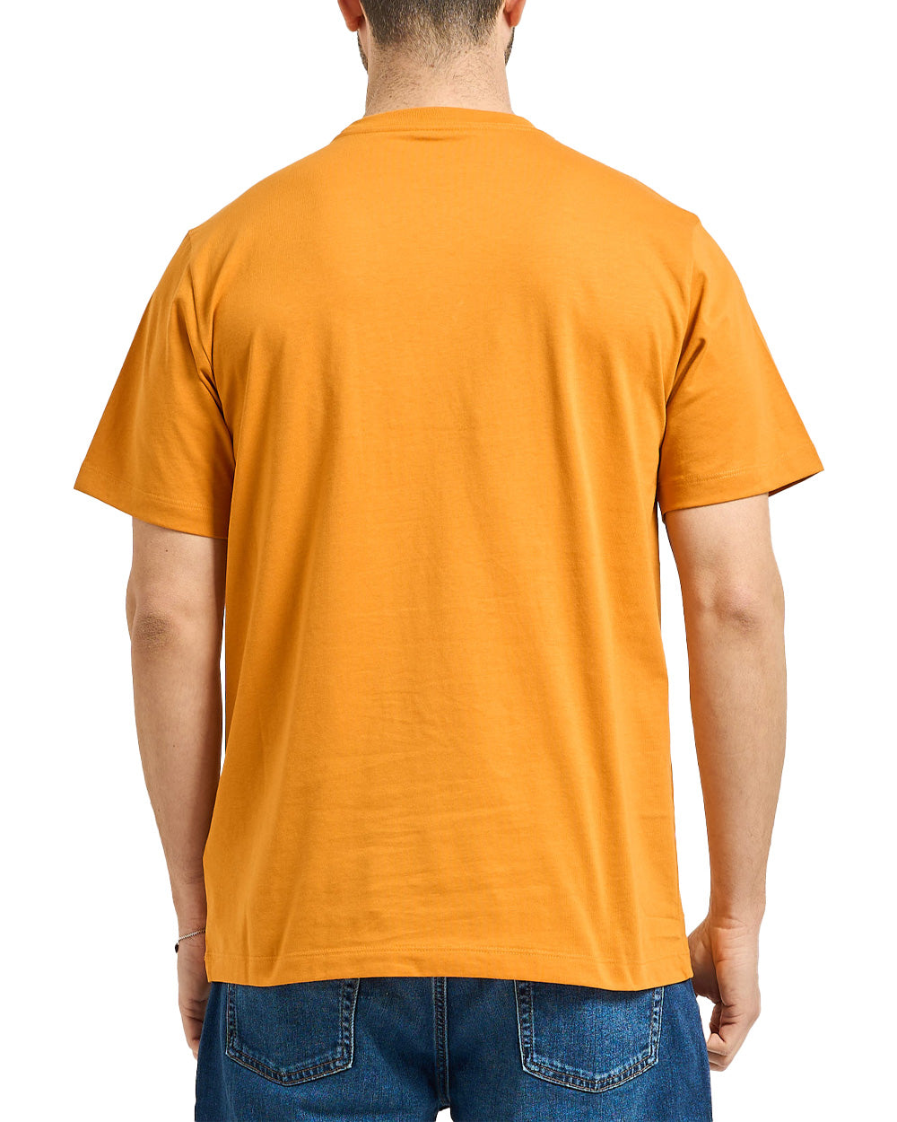 T-shirt THE NORTH FACE uomo Evolution Simple Dome Regular 8CZ2 Arancio 