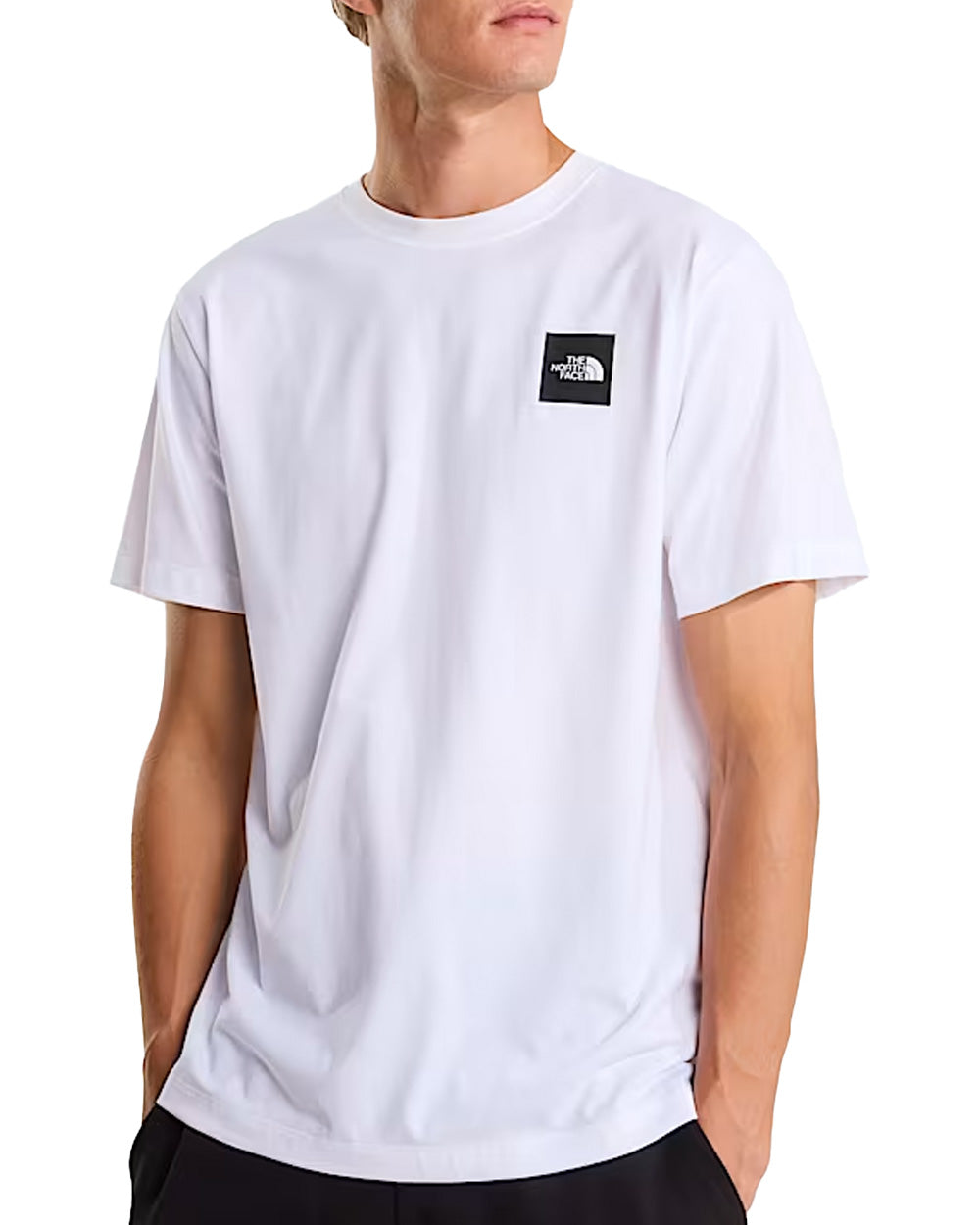 T-shirt THE NORTH FACE uomo Evolution Box Half Dome Regular 8G9C Bianco 