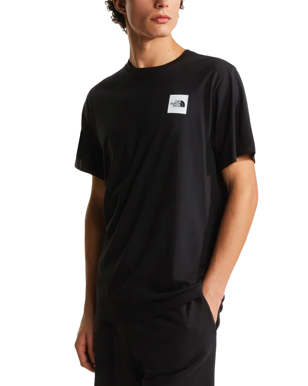 T-shirt THE NORTH FACE uomo Evolution Box Half Dome Regular 8G9C Nero 