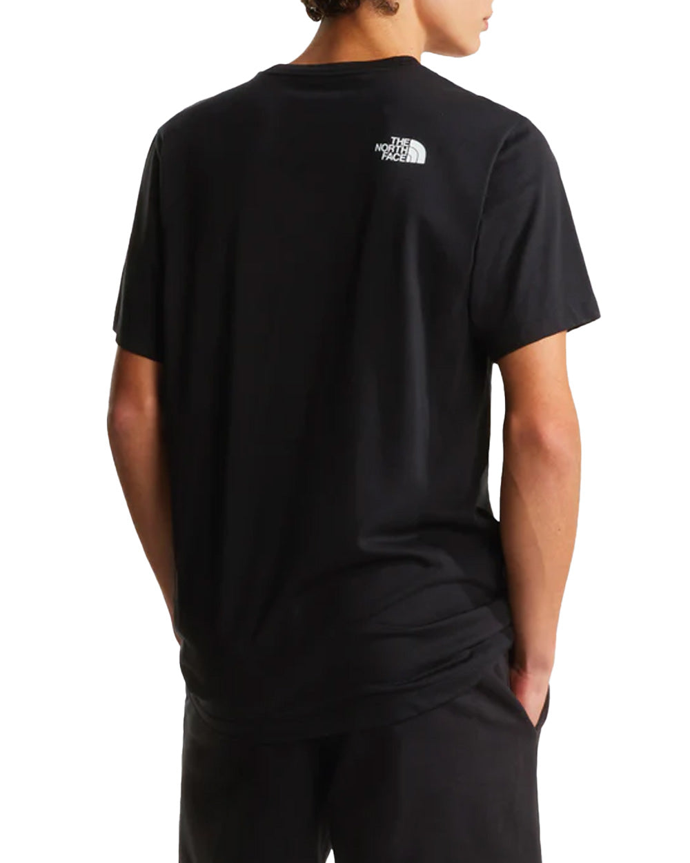 T-shirt THE NORTH FACE uomo Evolution Box Half Dome Regular 8G9C Nero 