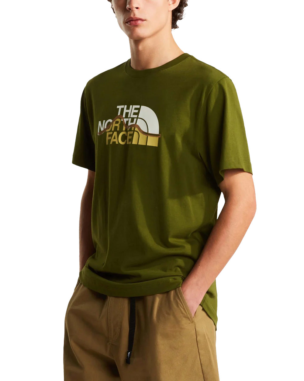 T-shirt THE NORTH FACE uomo 8GUX Verde 